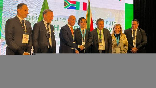 SACE e SIMEST: accordo con Camera di Commercio e Industria Italo-Sudafricana