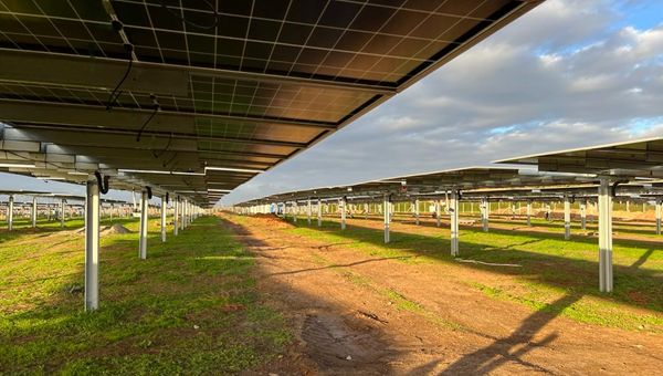 Enel e Conio lanciano ebitts: rinnovabili in bolletta tramite token Enel e Conio lanciano ebitts: rinnovabili in bolletta tramite token