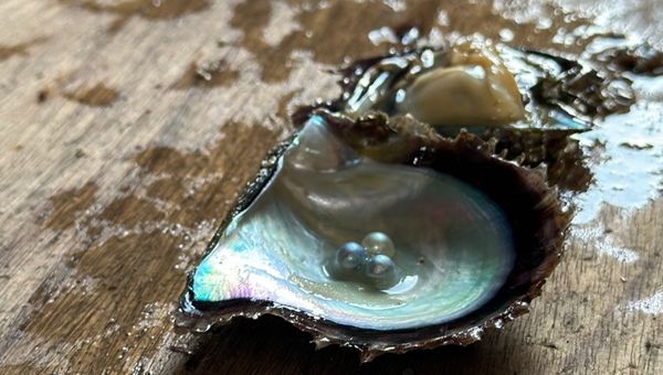 Vicenzaoro si conferma hub di conoscenza per il gioiello, le gemme, gli orologi