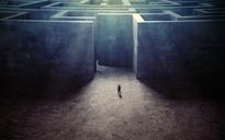 Il buio oltre la siepe