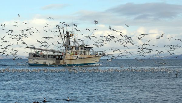 Il Governo Renzi regala alla Francia una fetta di mare italiano con danno alla pesca e...