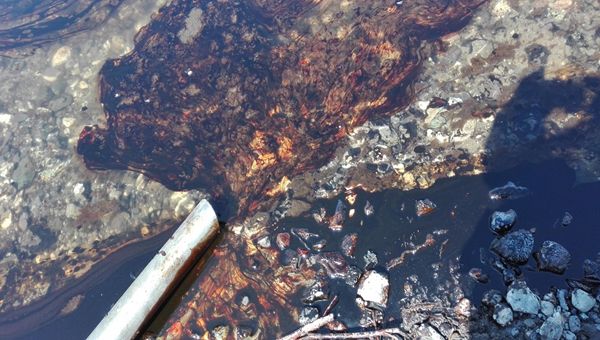 Bio-on trova la cura per gli sversamenti di greggio in mare, titolo in rally in Borsa