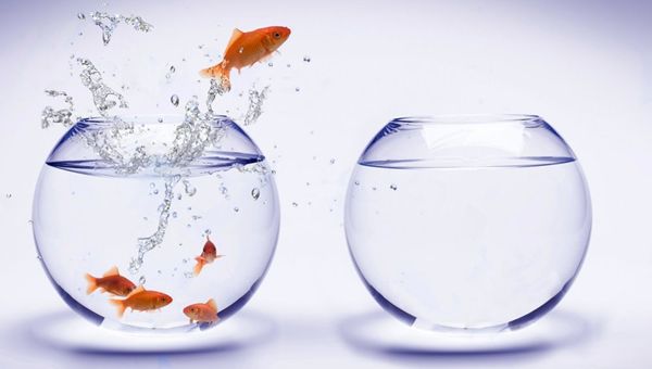 Sarà abolito il pesce d'aprile