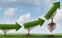 Life & Business Coach una missione a favore dei manager e non solo