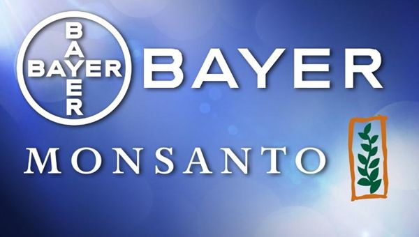 Monsanto cede alle avances di Bayer