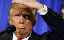 The Donald: Boss o Apprendista?