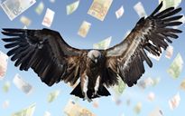 MES, gli Avvoltoi ringraziano