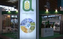 Confagricoltura a Ecomondo per rivendicare il ruolo del settore primario nello sviluppo sostenibile