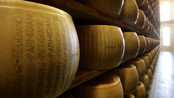 Parmigiano Reggiano tra i protagonisti indiscussi di FICO Eataly World