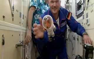 ESA, con il tedesco Alexander Gerst sulla Stazione Spaziale Internazionale è partita la "Missione Horizons"