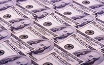 Evviva la crisi della Turchia!