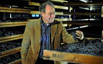 Sandro Boscaini, vendemmia 2014 messa alla prova dal maltempo