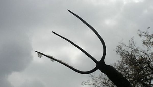 Scoppia il caso SIAN, il "costosissimo colabrodo" dell'Agricoltura